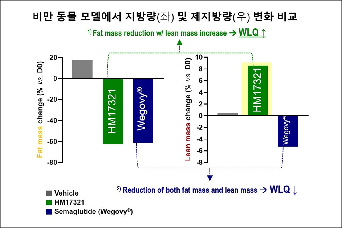 <사진> 체중 감량과 근육 증가를 동시에 실현하는 ‘신개념 비만치료제(HM17321)’에 대한 주요 연구 결과.