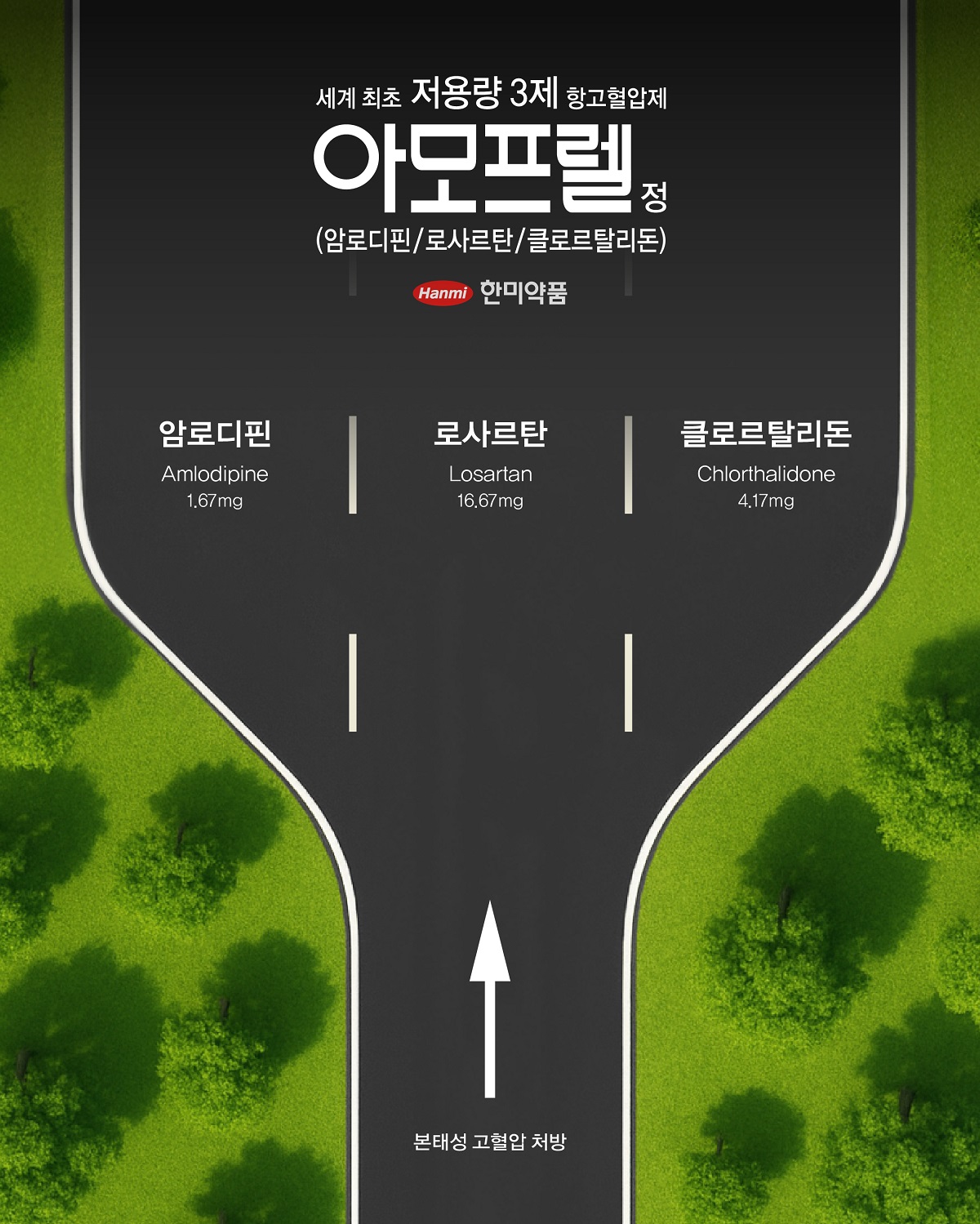아모프렐정(사진).jpg